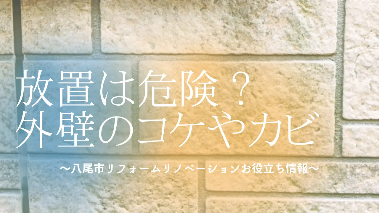 放置は危険？外壁のコケやカビ